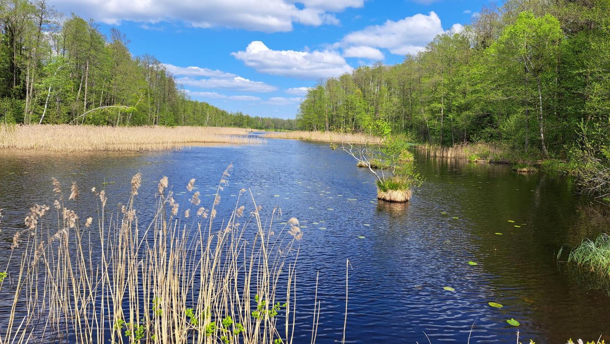 Nasze Podlasie, Domek W Dubiczach Cerkiewnych Dubicze Cerkiewne المظهر الخارجي الصورة